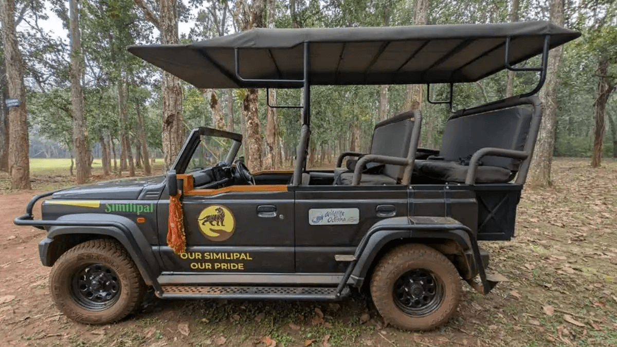 Elephants roaming in Simlipal